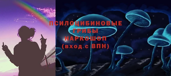 мдпв Бронницы