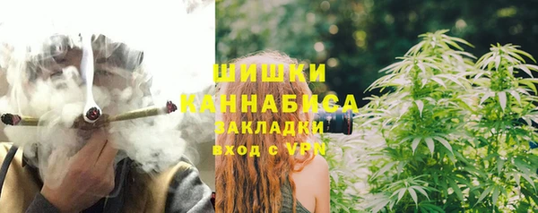 мдпв Бронницы