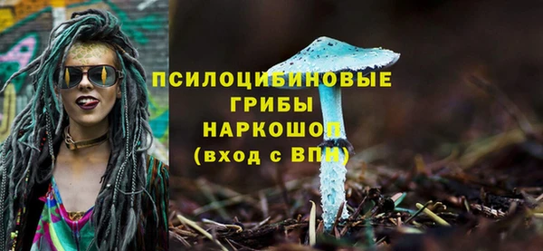 первитин Бородино