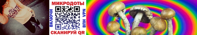 Галлюциногенные грибы MAGIC MUSHROOMS  Купить закладки  Мариинский Посад 