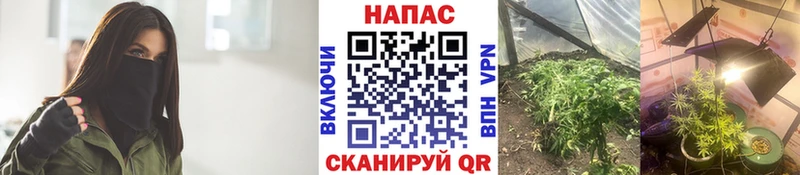Купить  Мариинский Посад  Шишки марихуана VHQ 